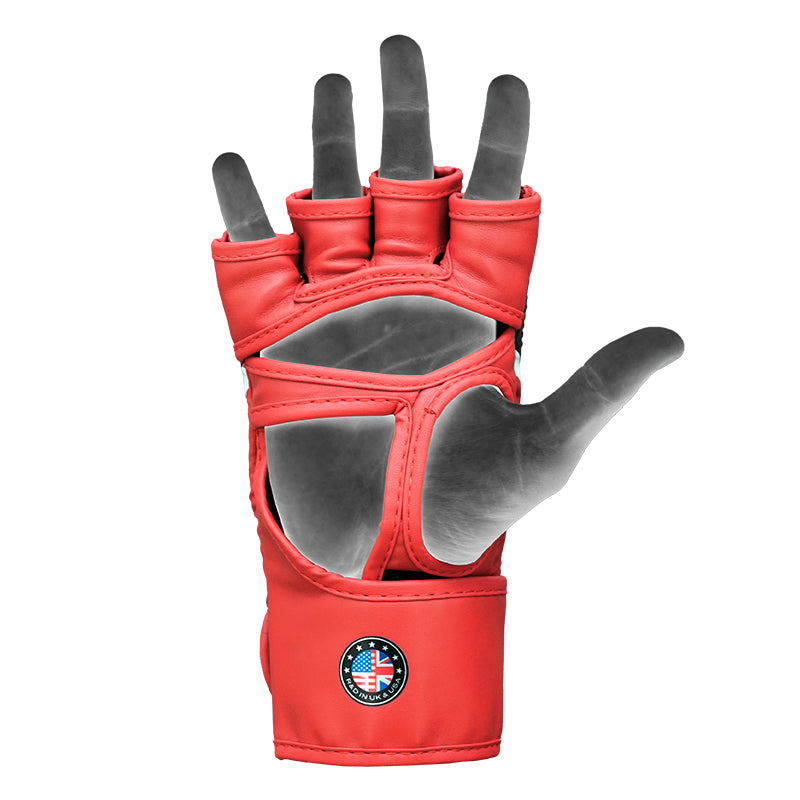 RDX GANTS DE GRAPPLING AURA PLUS T-17